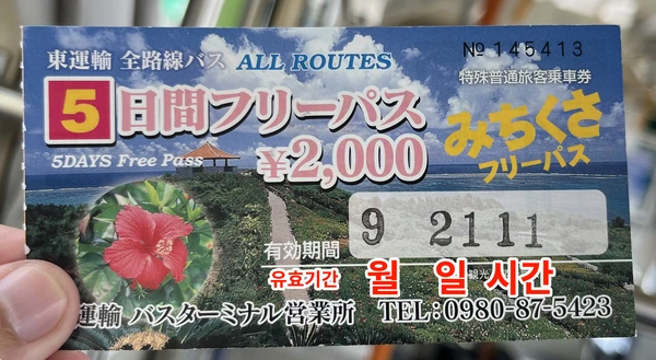이시가키 버스 패스 유효기간